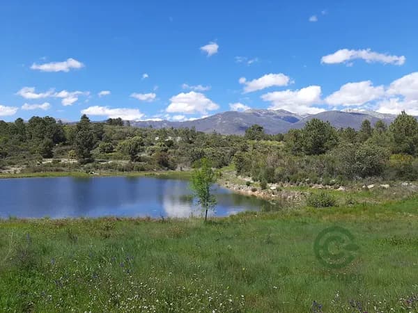 Finca rústica de 86 ha en venta en Cáceres