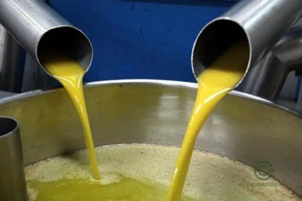 Finca agrícola de 1 ha en venta en Tarragona