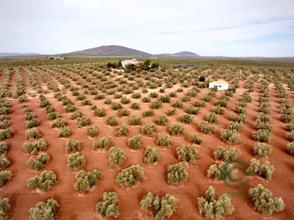 Finca rústica de 120 ha en venta en Córdoba