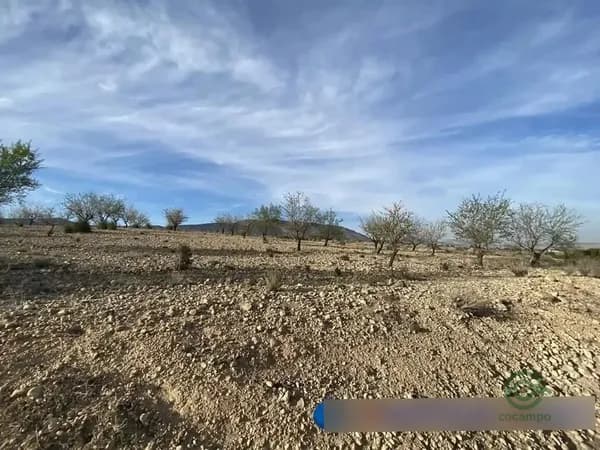 Finca agrícola de 1,0224 ha en venta en Caudete, Albacete