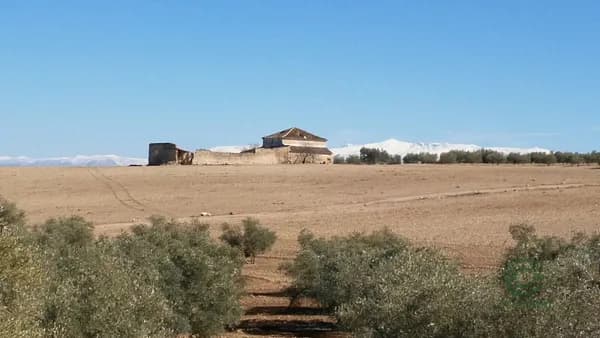 Finca rústica de 64 ha en venta en Granada