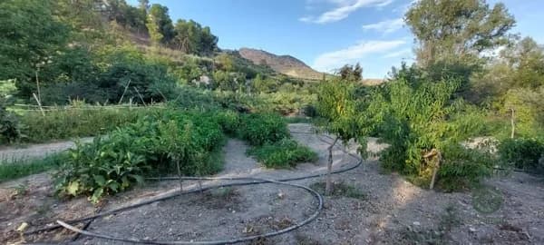 Finca agrícola de 0,28 ha en venta en Quesada, Jaen