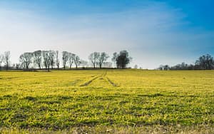  Jose Manuel   Hidalgo 