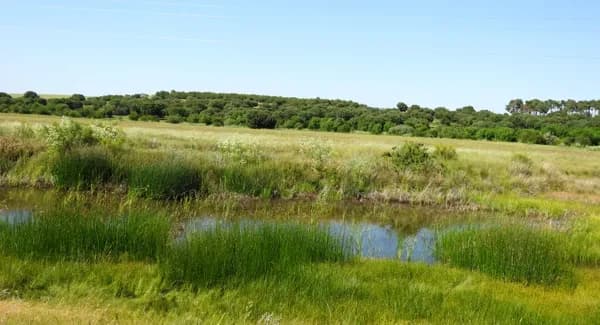 Finca rústica de 1000 ha en venta en Segovia