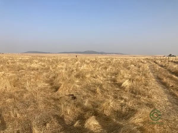 Finca ganadera de 24 ha en venta en Cáceres