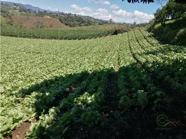 Finca agrícola de 3 ha en venta en Antioquia