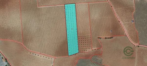 Finca agrícola de 1,29 ha en venta en Valdepenas, Ciudad real
