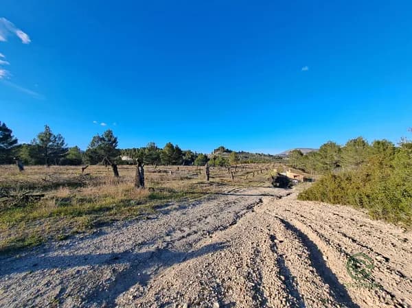 Agricultural property of 5,99 ha for sale in Alicante