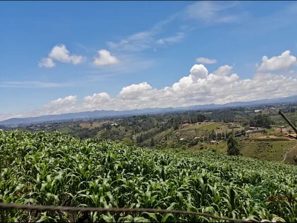 Finca agrícola de 0,385 ha en venta en Antioquia