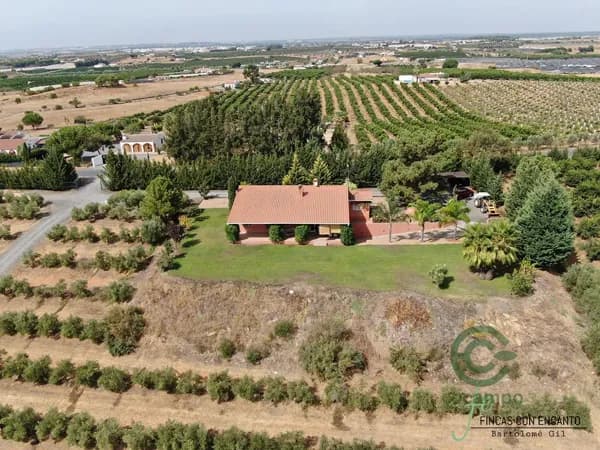 Finca rústica de 4 ha en venta en Huelva