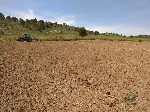 Finca agrícola de 50 ha en venta en Yecla, Murcia
