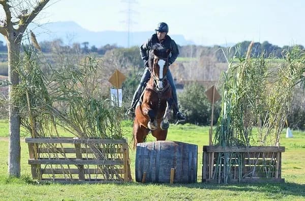 Finca rústica de 25 ha en venta en Girona