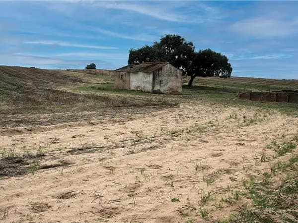 Finca rústica de 536 ha en venta en Huelva