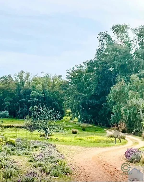 Finca agrícola de 0,97 ha en venta en Mérida, Badajoz