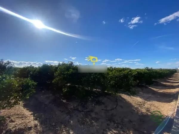 Finca agrícola de 63 ha en venta en Albalat de la ribera, Valencia