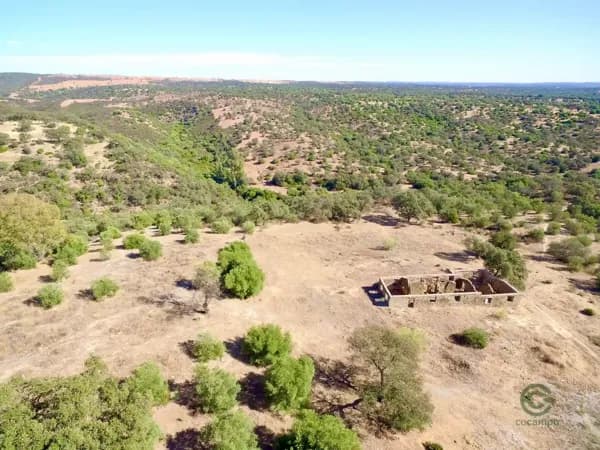 Finca de recreo de 30 ha en venta en Sevilla
