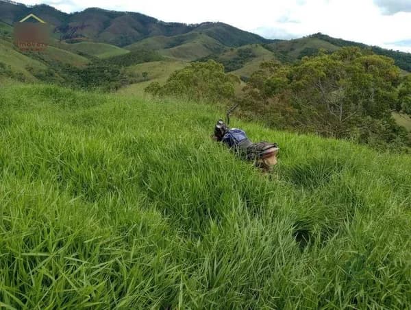 Fazenda agrícola de 193,6 ha para venda em São paulo