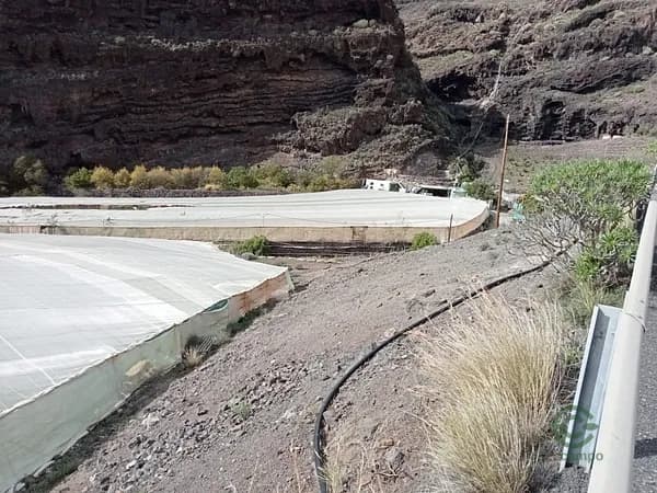 Finca rústica de 1 ha en venta en Las palmas