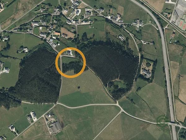 Finca agrícola de 0,2 ha en venta en Lugo