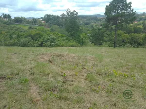 Fazenda rustica de 2 ha para venda em São paulo