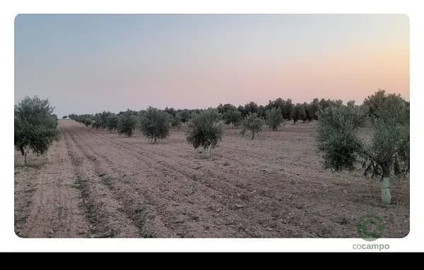 Finca agrícola de 0,64 ha en venta en Toledo