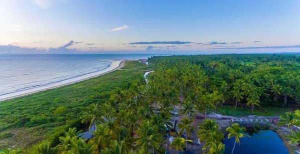Fazenda rustica de 35 ha para venda em Bahia