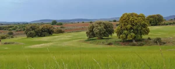 Finca rústica de 600 ha en venta en Soria