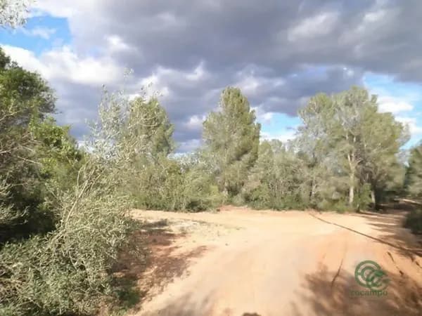 Finca agrícola de 1,05 ha en venta en Aldover, Tarragona