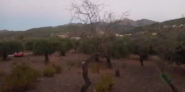 Finca agrícola de 0,45 ha en venta en Monda, Malaga