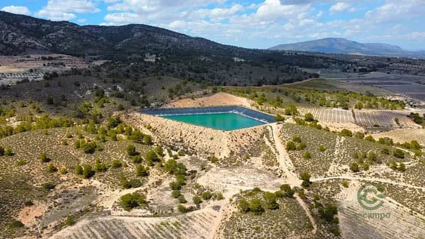 Finca agrícola de 235 ha en venta en Alicante