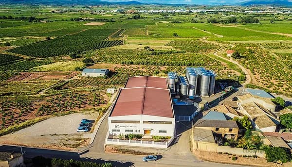 Agricultural property of 2 ha for sale in Valencia