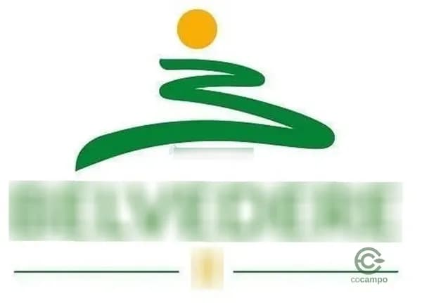 Terra urbana de 0,0321 ha para venda em Mato grosso