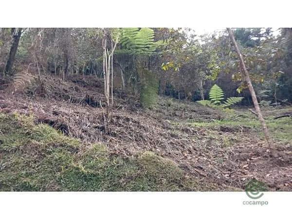 Finca rústica de 0,843 ha en venta en Antioquia