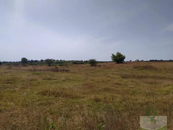 Finca rústica de 1,0643 ha en venta en Villarrasa, Huelva