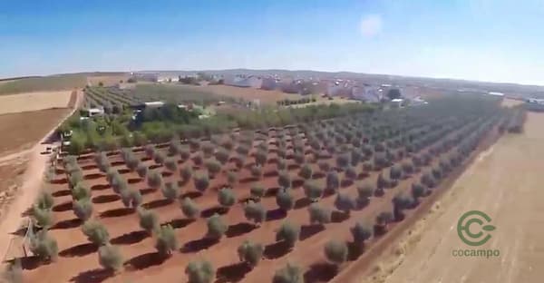 Finca agrícola de 2,8 ha en venta en Sevilla