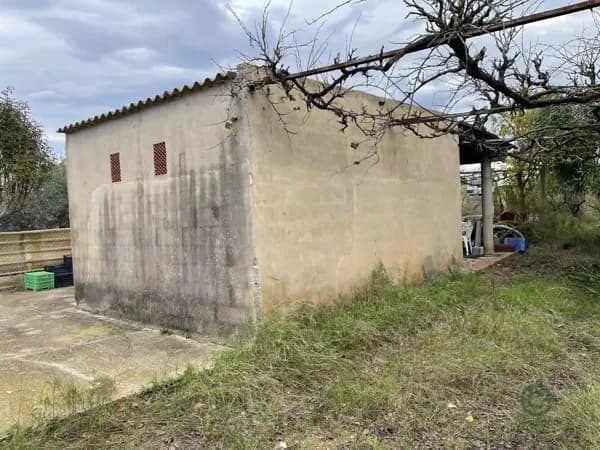 Finca rústica de 0,2658 ha en venta en Castellon de la plana, Castellon