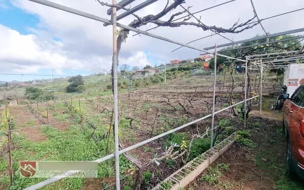 Finca agrícola de 0,1579 ha en venta en Tacoronte, Sta.cruz tener.
