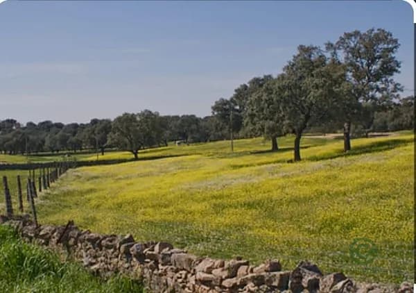 Finca agrícola de 7 ha en venta en Añover de tormes, Salamanca