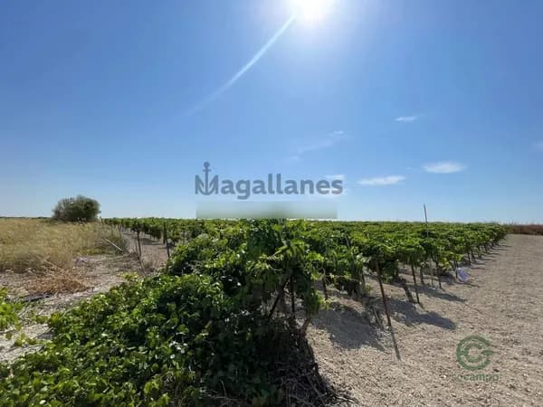 Finca rústica de 0,23 ha en venta en Sanlucar de barrameda, Cadiz