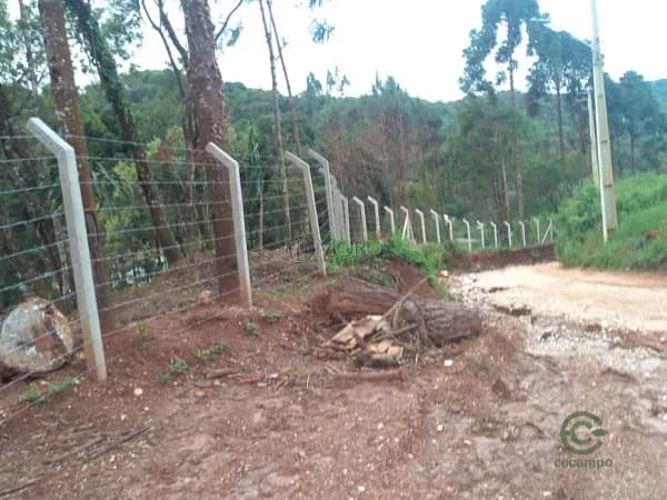 Fazenda rustica de 3,17 ha para venda em Paraná