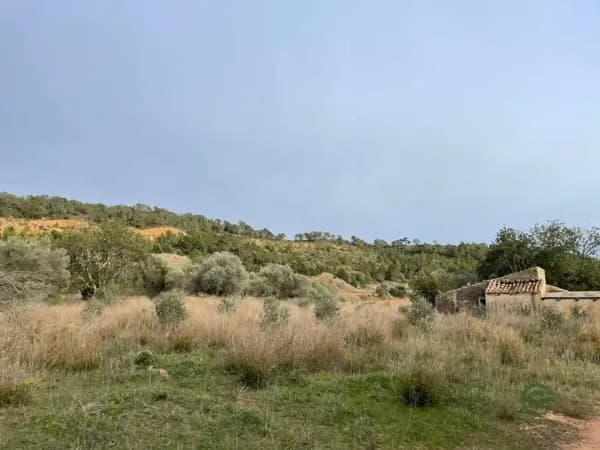 Finca forestal de 10,57 ha en venta en Benifallet, Tarragona