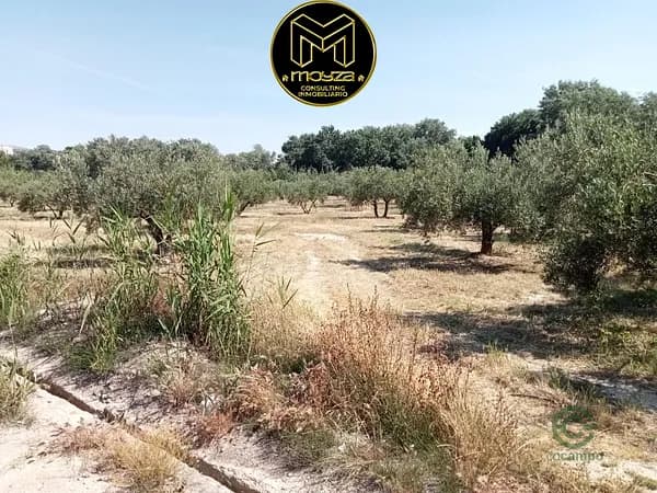 Finca rústica de 1,7447 ha en venta en Jaén