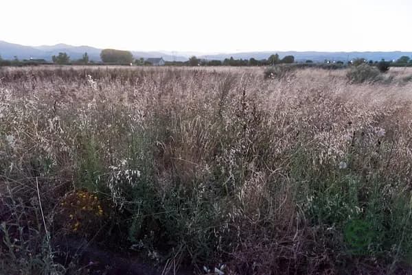 Finca agrícola de 0,4 ha en venta en León