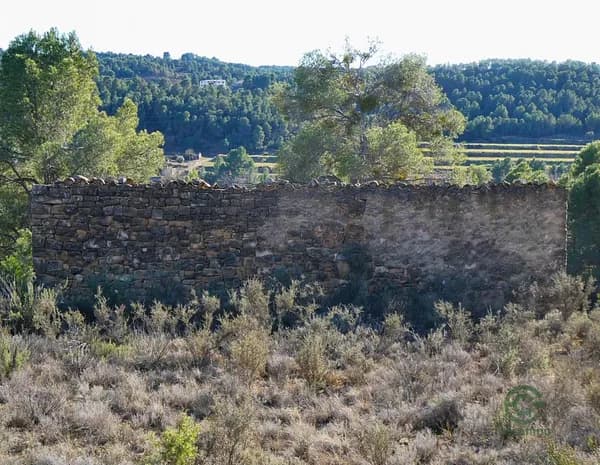 Finca agrícola de 1,25 ha en venta en Mazaleon, Teruel