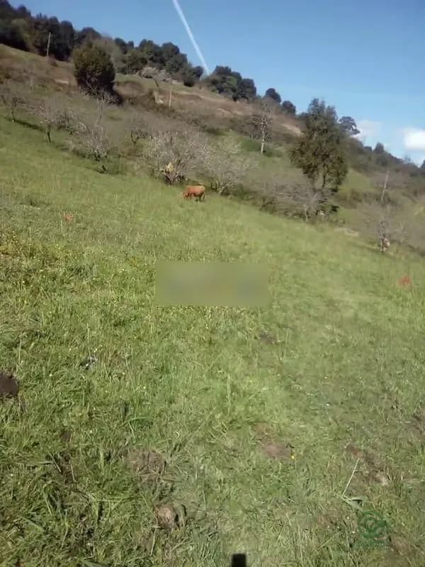 Finca rústica de 0,6376 ha en venta en Gijon, Asturias