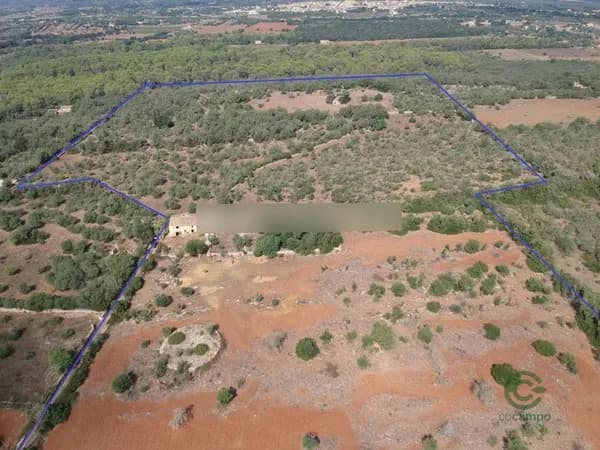 Finca rústica de 8,5144 ha en venta en Llubi, Islas baleares