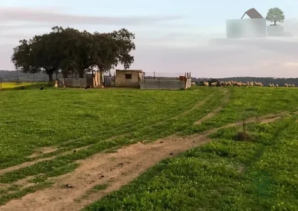 Finca rústica de 3 ha en venta en Badajoz