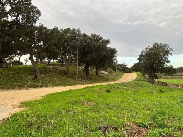 Terren urbà de 0,56 ha per a venda a Girona