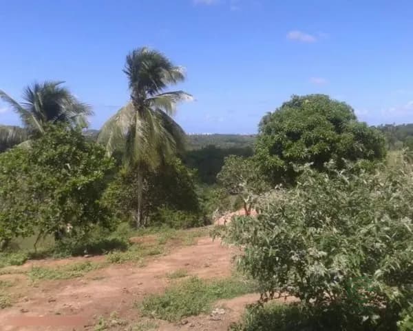 Terra urbana de 10,1 ha para venda em Bahia
