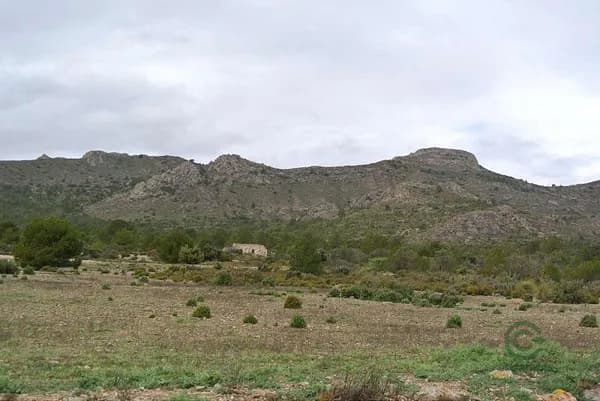 Finca rústica de 595 ha en venta en Yecla, Murcia